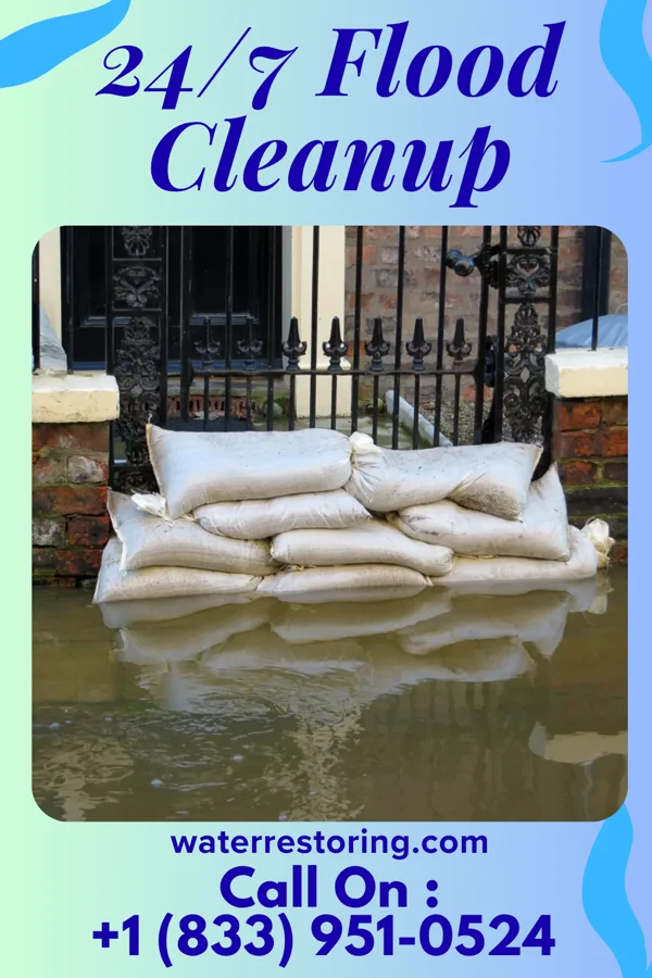 24/7 Flood Cleanup in Loch Arbour, NJ