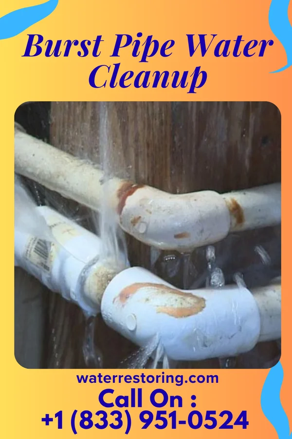 Burst Pipe Water Cleanup in Loch Arbour, NJ