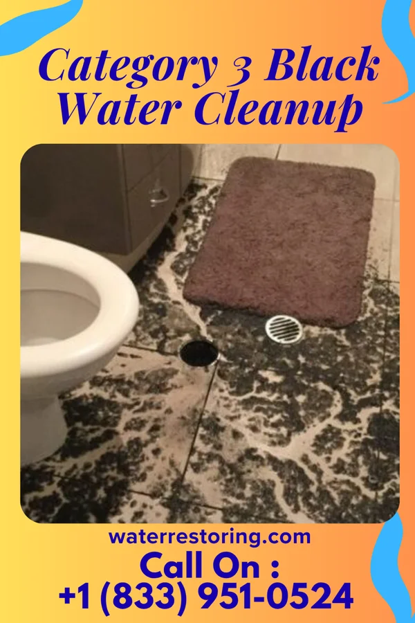 Category 3 Black Water Cleanup in Loch Arbour, NJ