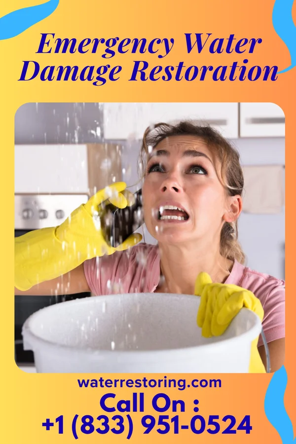 Emergency Water Damage Restoration in Loch Arbour, NJ