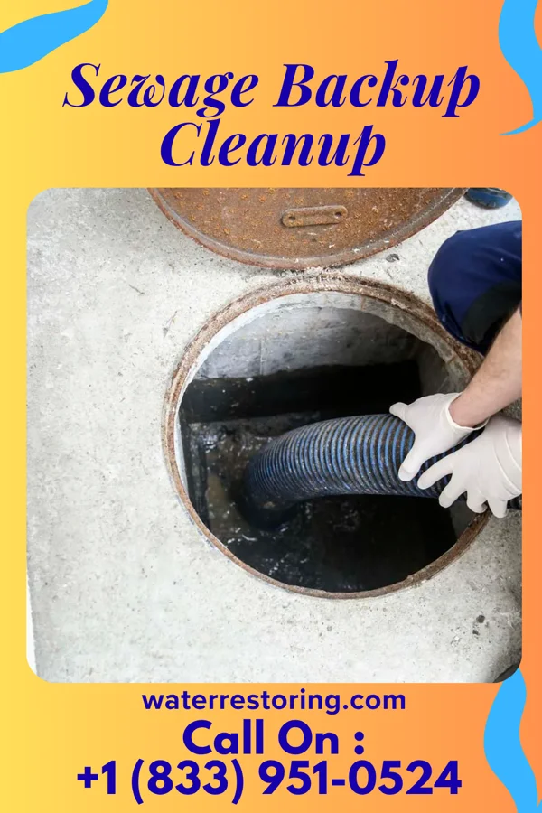 Sewage Backup Cleanup in Loch Arbour, NJ