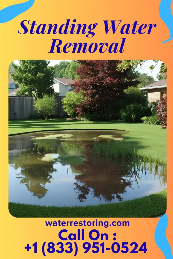 Standing Water Removal in Loch Arbour, NJ